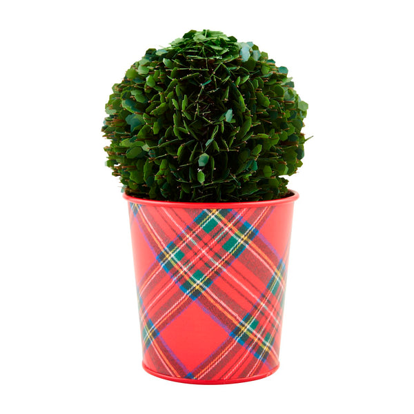 Boxwood Tartan Pot Small