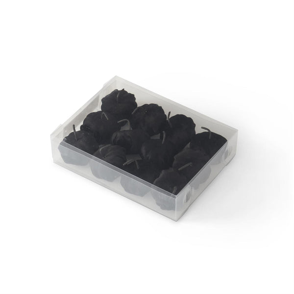 Black Velvet Pumpkins Boxed