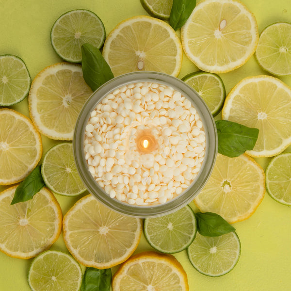 Notes Sustainable Candle Kit - Citrus & Fresh Basil